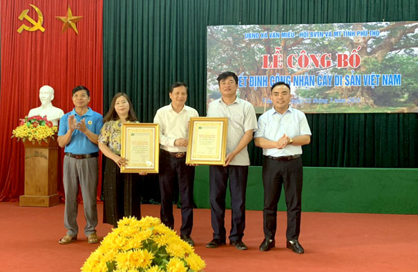4[-]cây[-]cổ[-]thụ[-]tại[-]xã[-]Văn[-]Miếu,[-]huyện[-]Thanh[-]Sơn[-](Phú[-]Thọ)[-]là[-]Cây[-]Di[-]sản[-]Việt[-]Nam